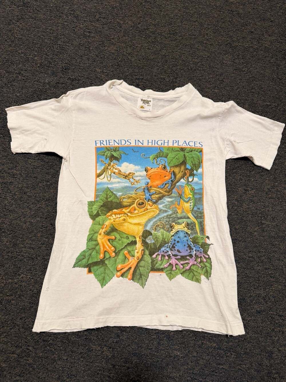 Vintage 90s Friends in High Places Frog Graphic T-Shirt Size L
